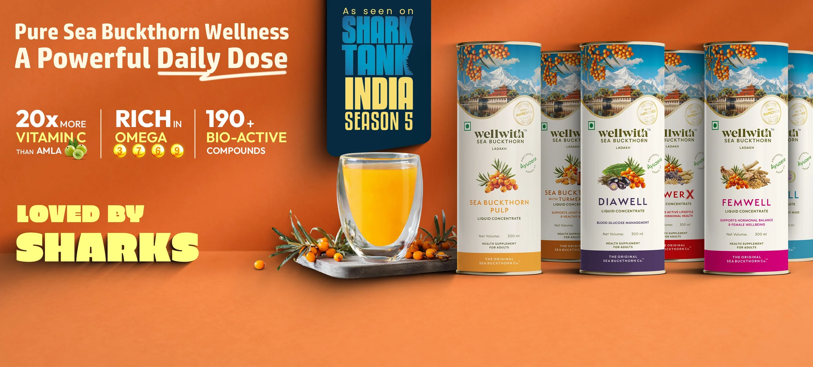 Ladakh’s Golden Secret for Wellness